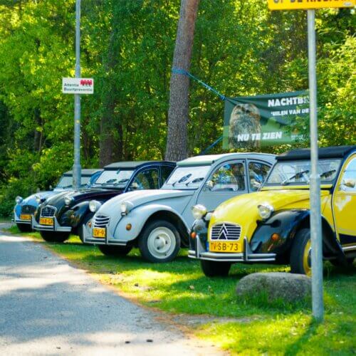 Lelijke eend verhuur voor 1 dag