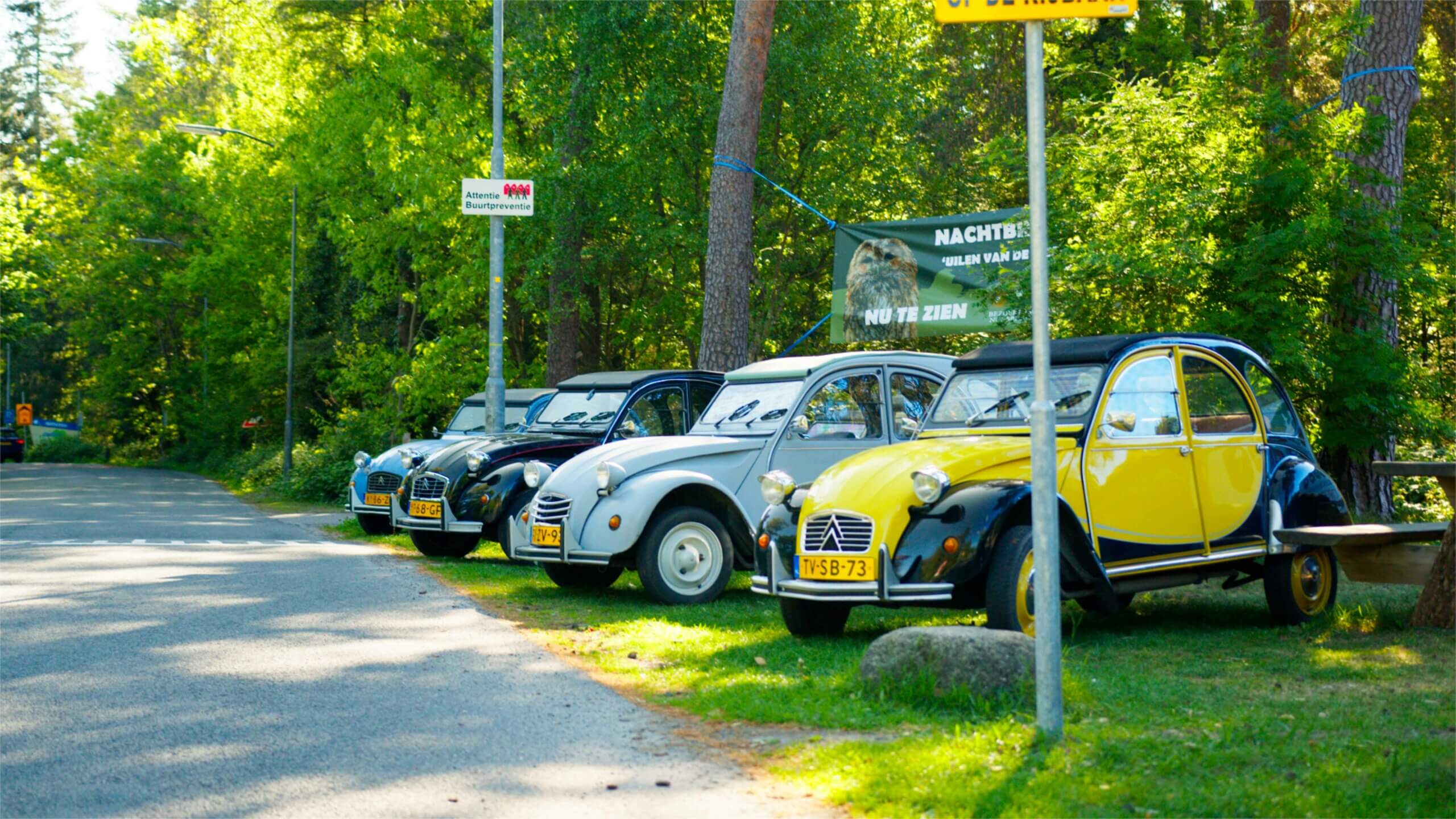 Lelijke eend verhuur voor 1 dag