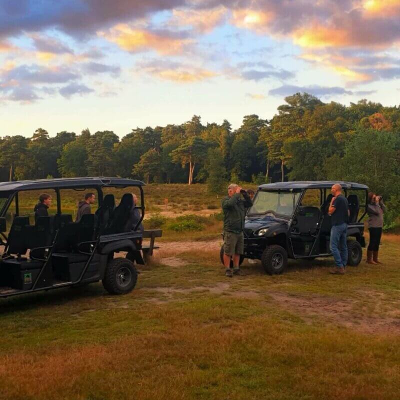 Wat te doen op de veluwe