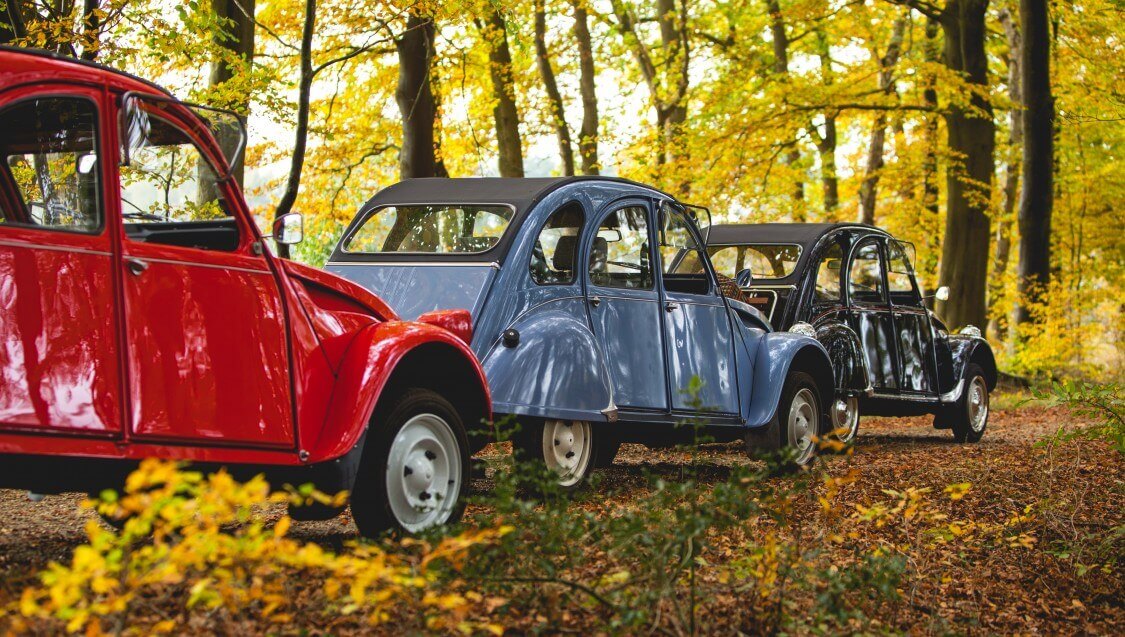 Verhuur Lelijke Eend online