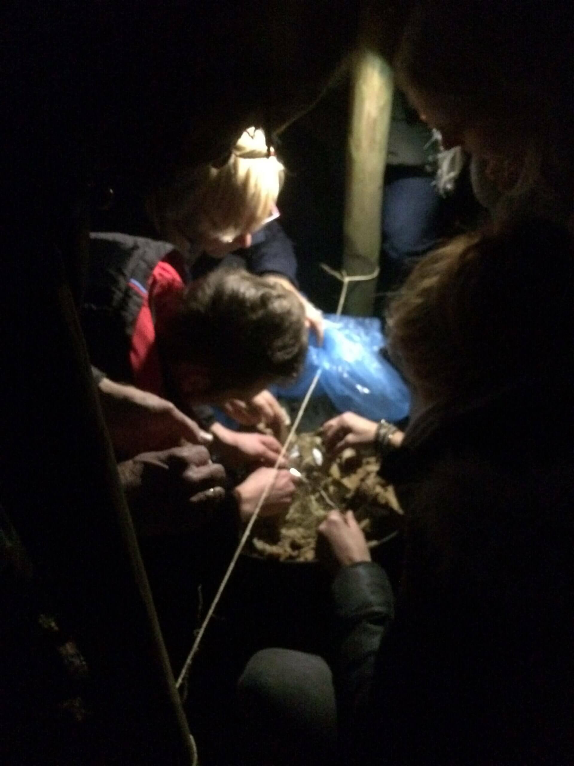 foto van avonddropping