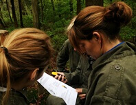 Foto van een armydropping