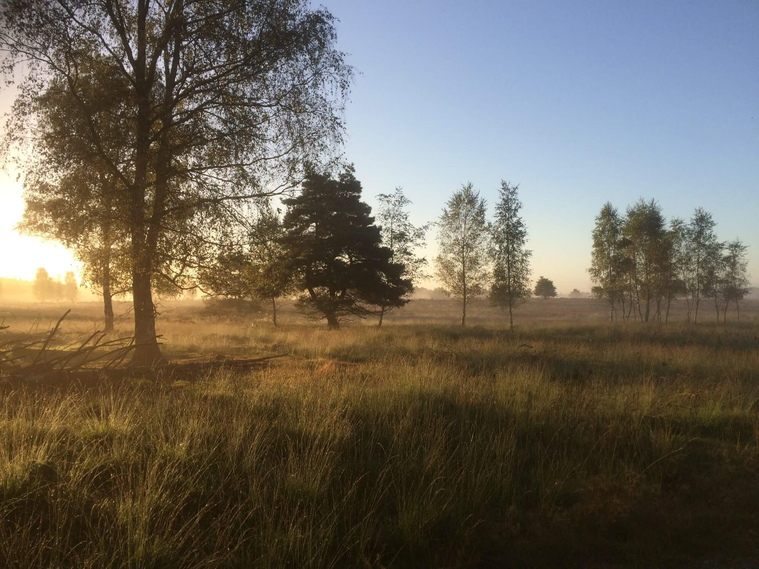 natuurwandeling